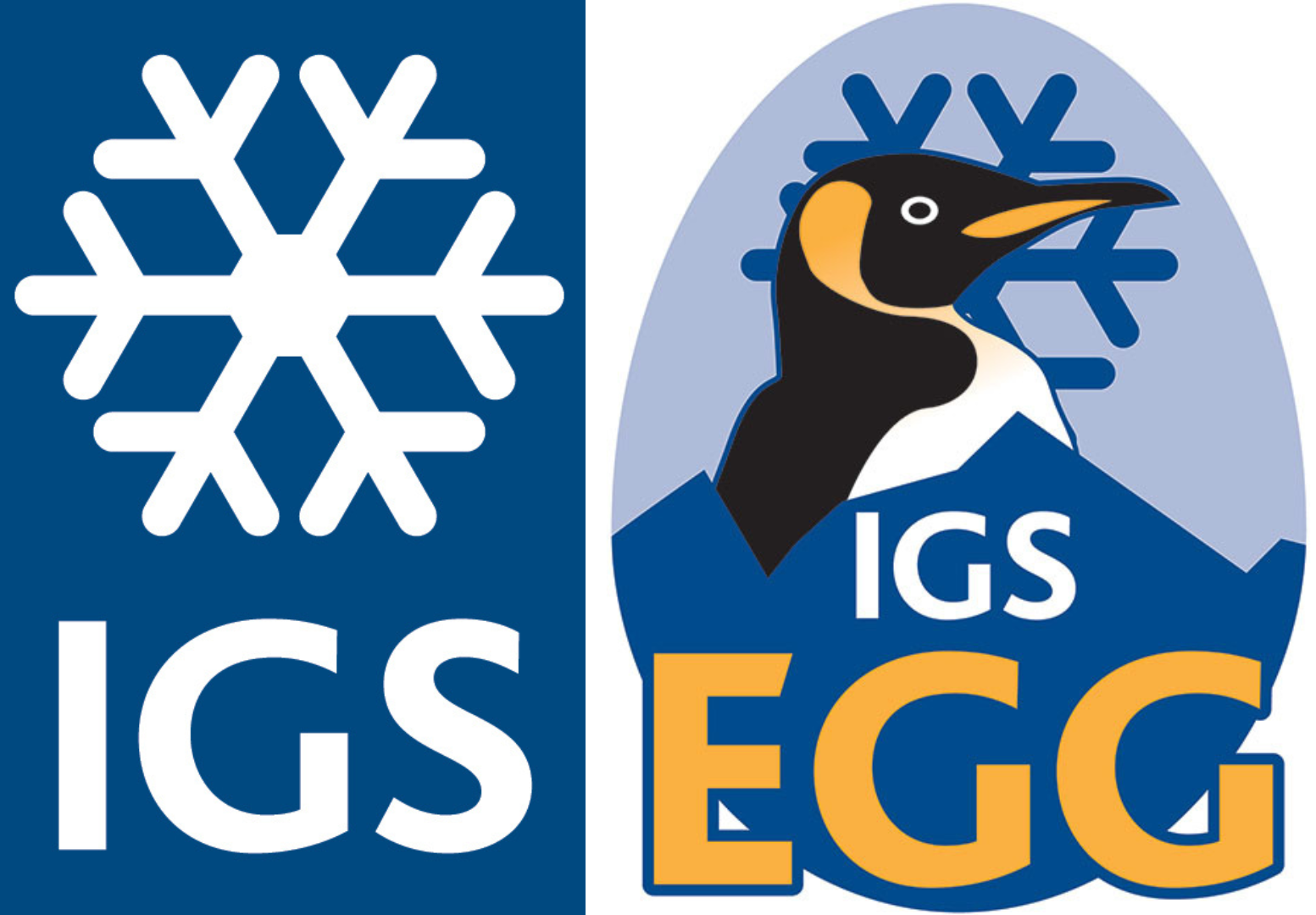 IGS International Glaciological Society