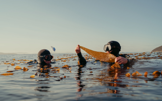 210824 UTAS COSE Diving 05974 Srgb Highres