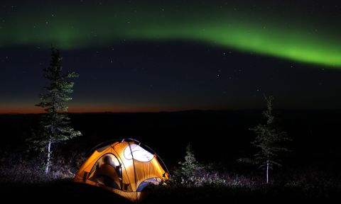 Ayşe, Under the Summer Aurora, Fairbanks North Star Borough, Alaska