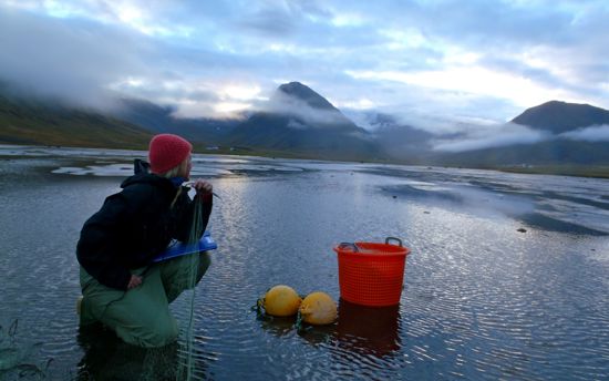 UWestfjords profile image