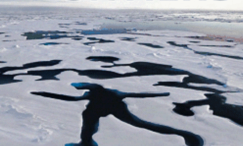 Humans in the Arctic poster