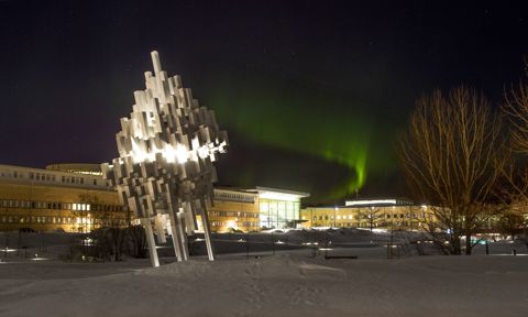Northern lights over the main campus of Umeå University