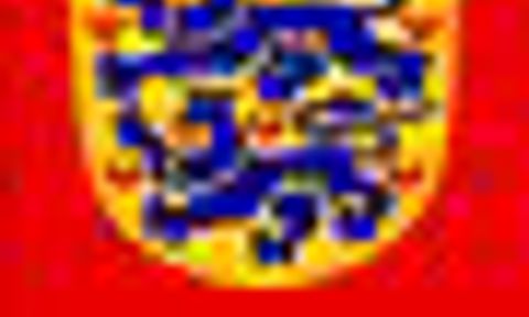 statsvaaben Danish Foreign Ministry logo