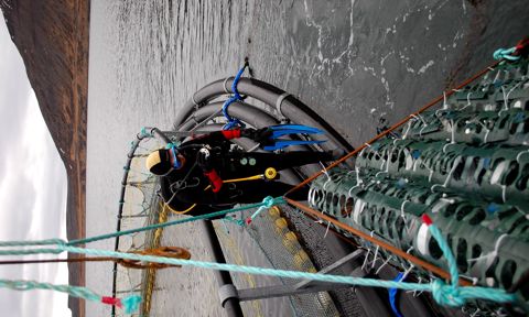 UWestfjords Coastal and Marine Issues