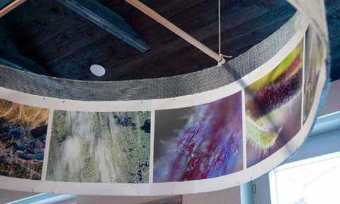 Communicating Arctic Research, Project "Beyond"