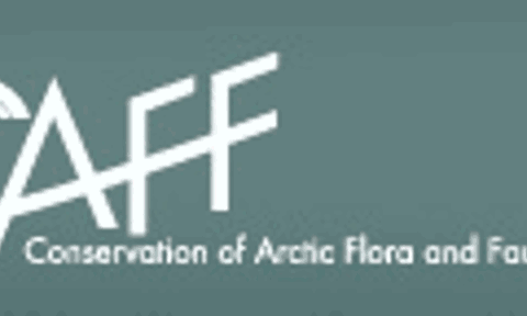 caff_logo