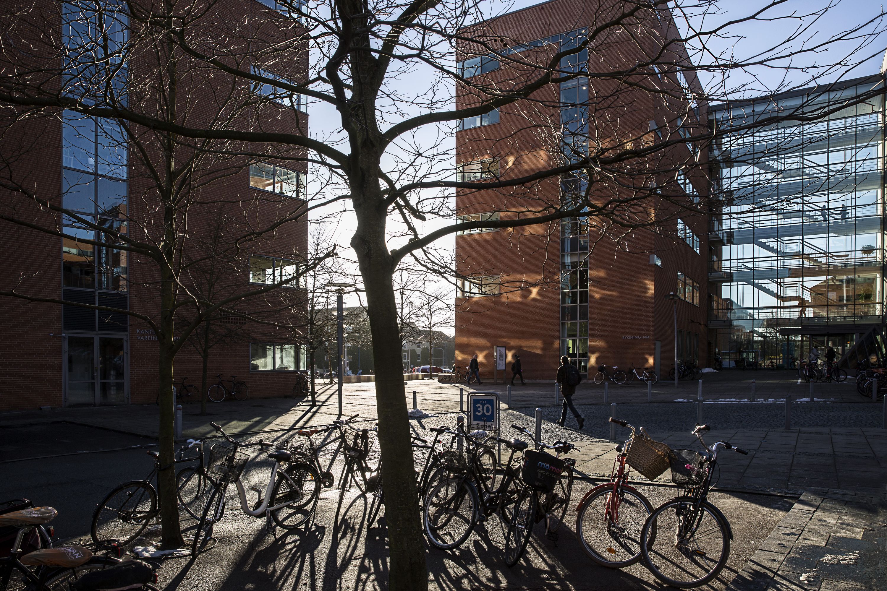 Aarhus University profile 6