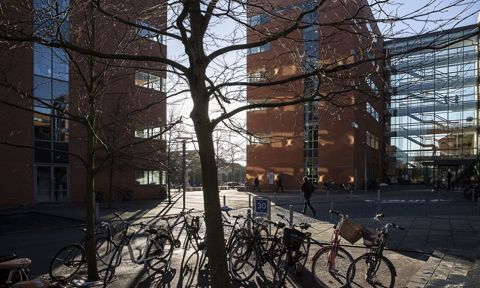 Aarhus University profile 6