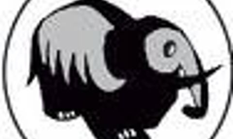 Yakutsk State University