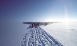 Sharedvoicesmagazinepages5051pogodaevreindeerportalorg