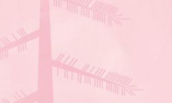 Shared_Voices_Magazine_45_editorial