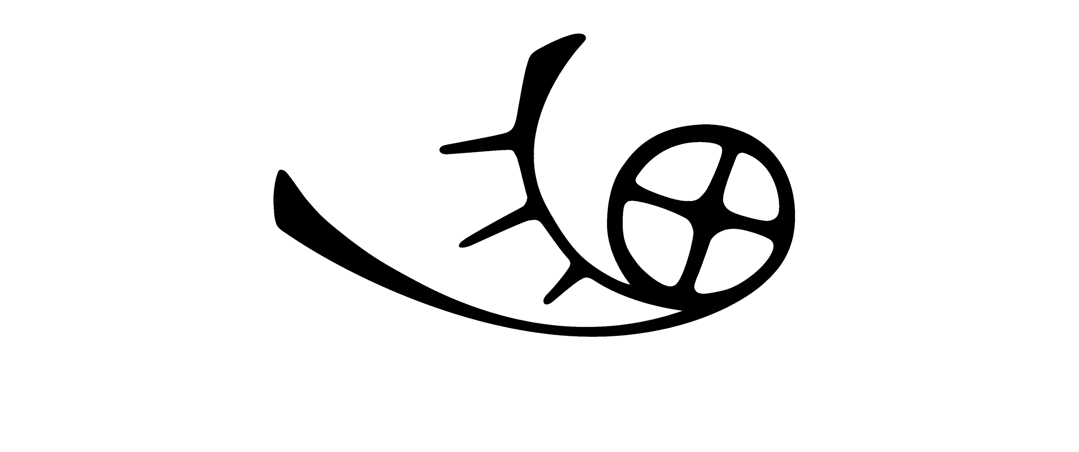 isfi_logo_4096x1716_black.fw.png