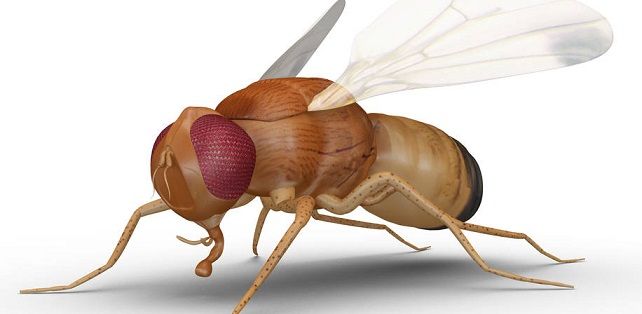 shutterstock_277586756_002.jpg (1)