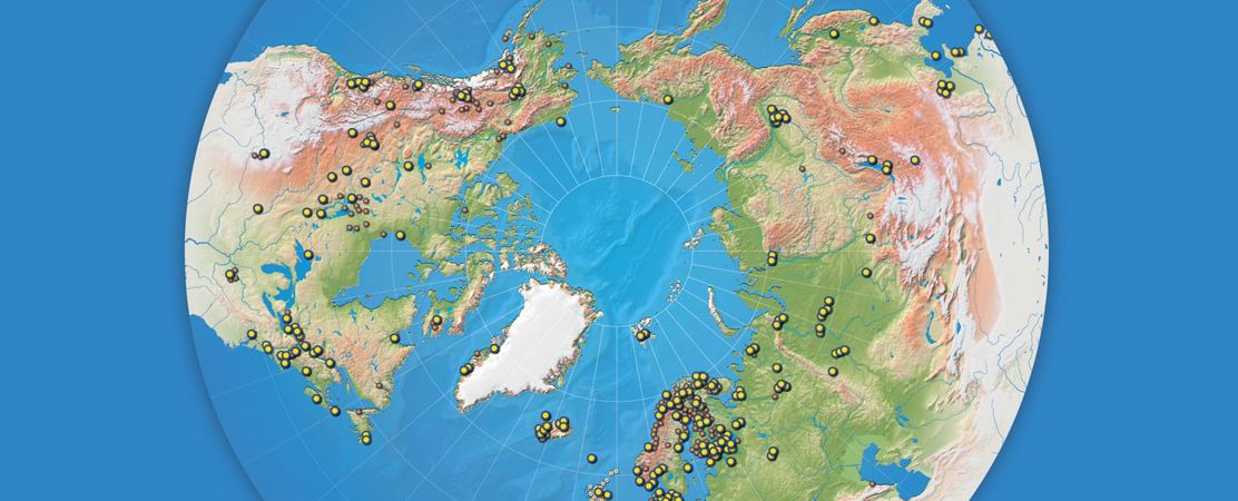 UArctic members map 2017.jpg