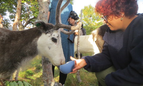 MIS field school 2017
