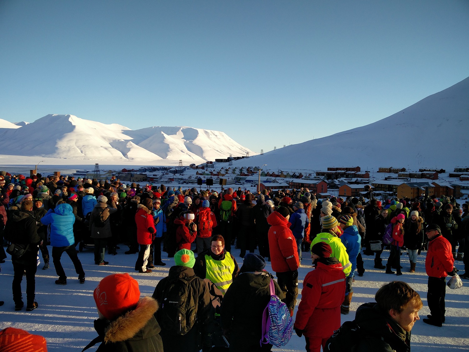 Arctic Migration; Photo by Simon N. Schmidt