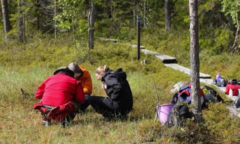 Oulanka research station.jpg