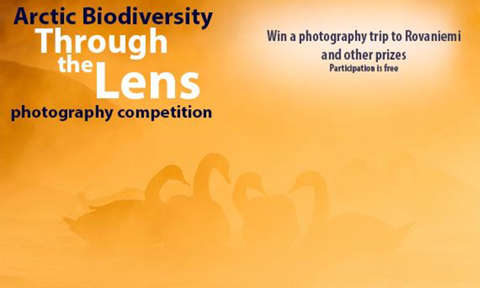 Through the Lens photo competition 2018.PNG