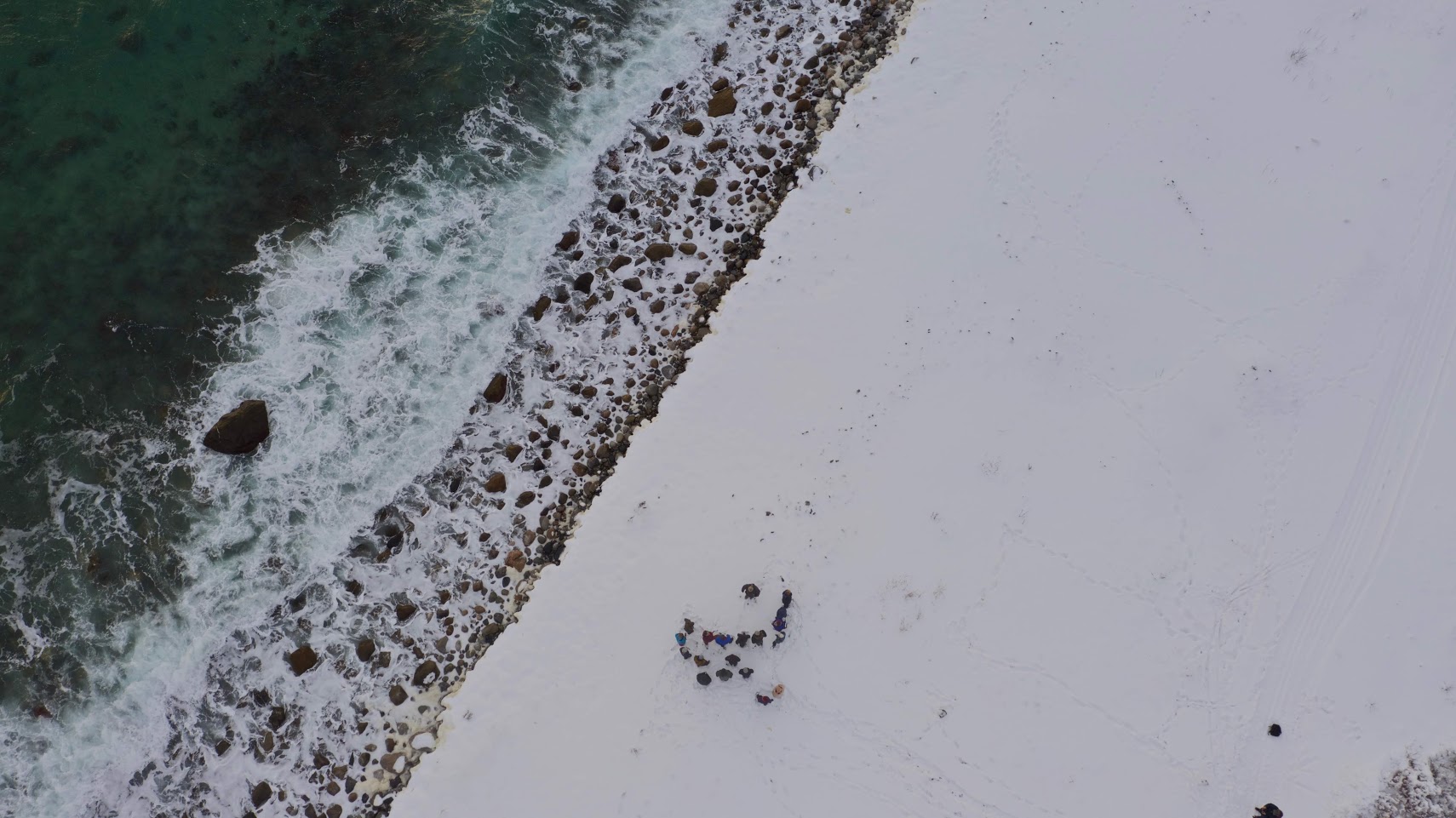 Coastal Ecology and Global Change in the Anthropocene