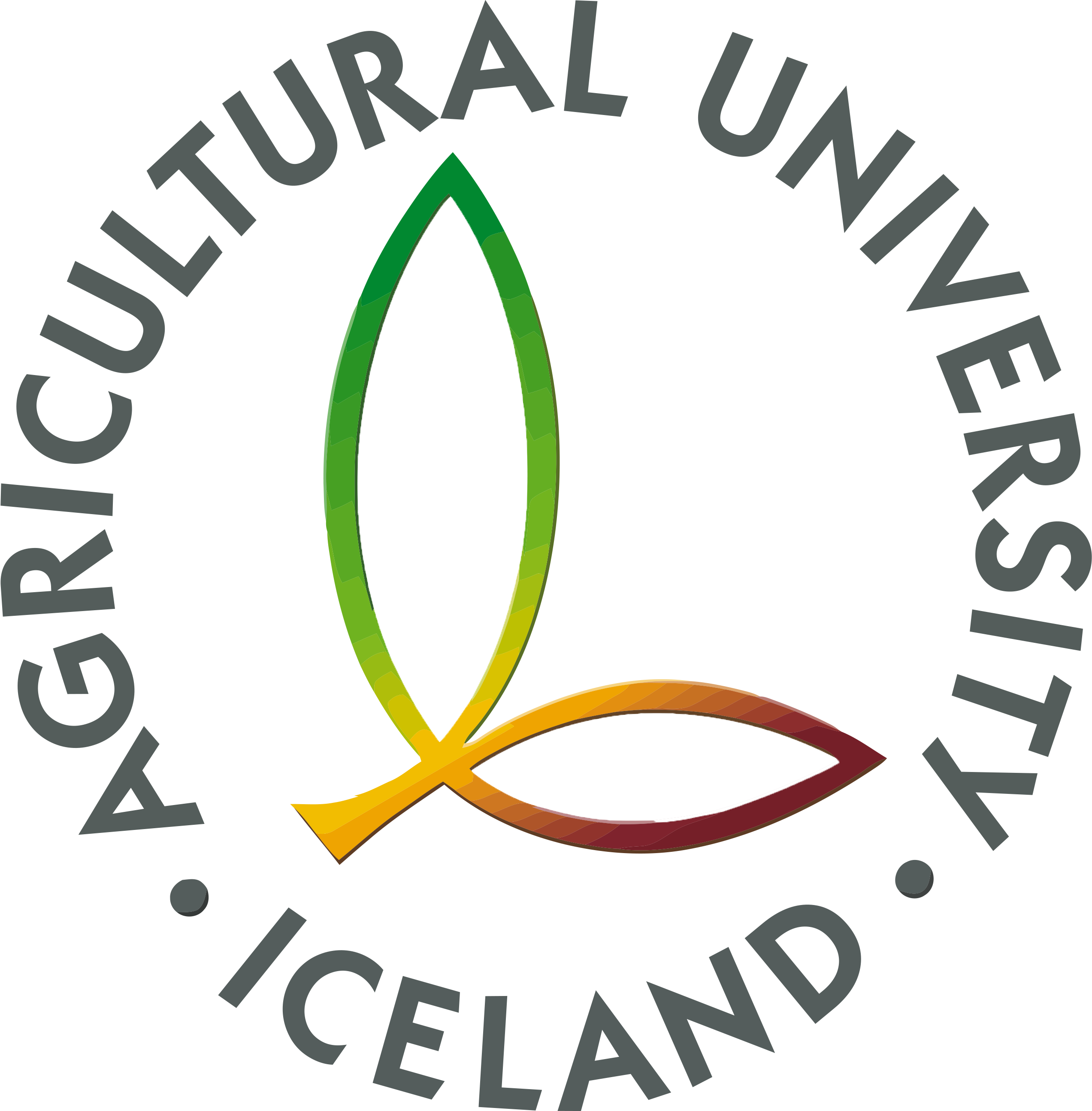 hringlogo ens_transp.png