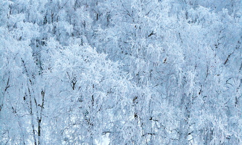 Winter in Arkhangelsk