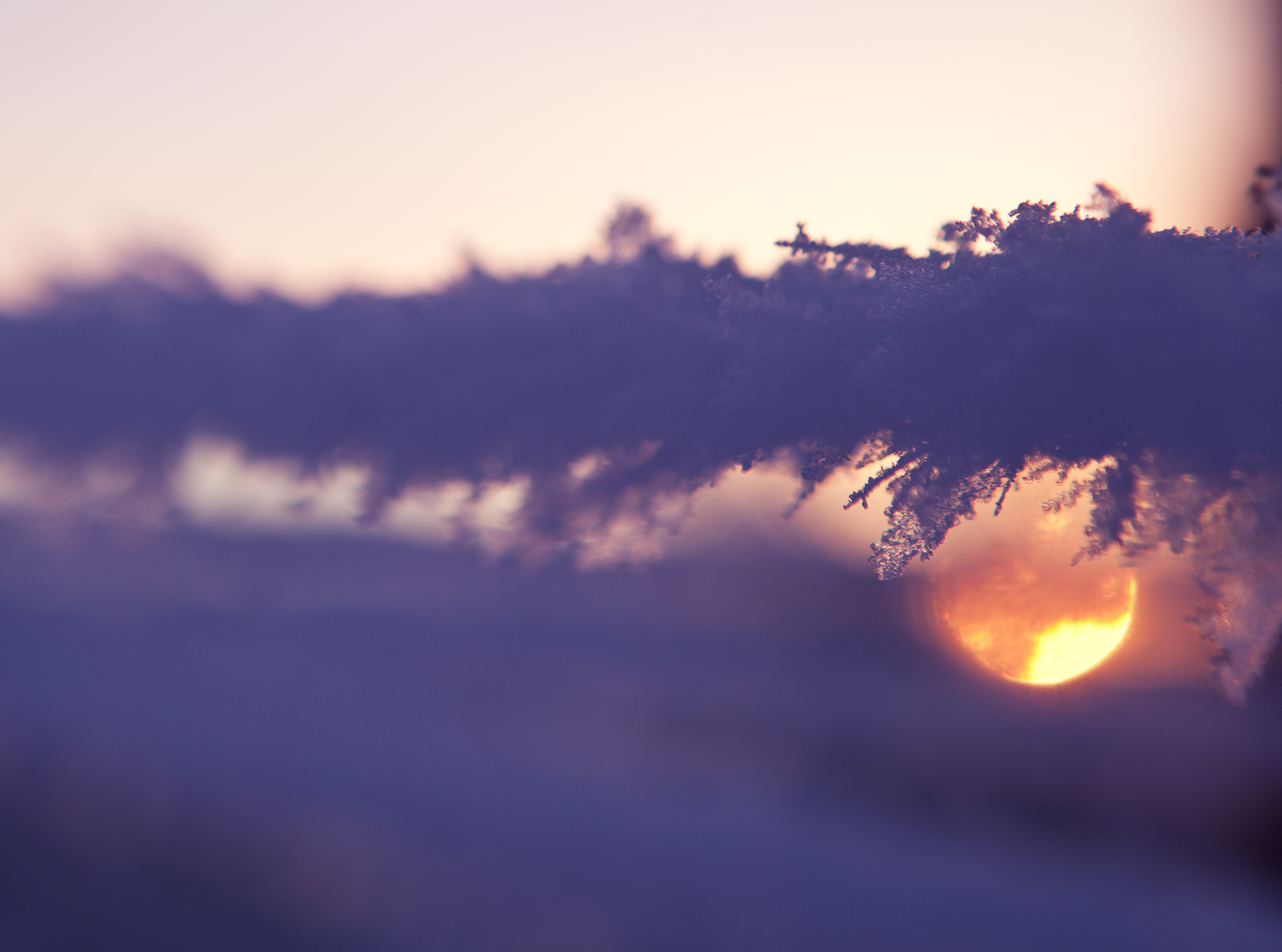 Sámi University of Applied Sciences profile image 6