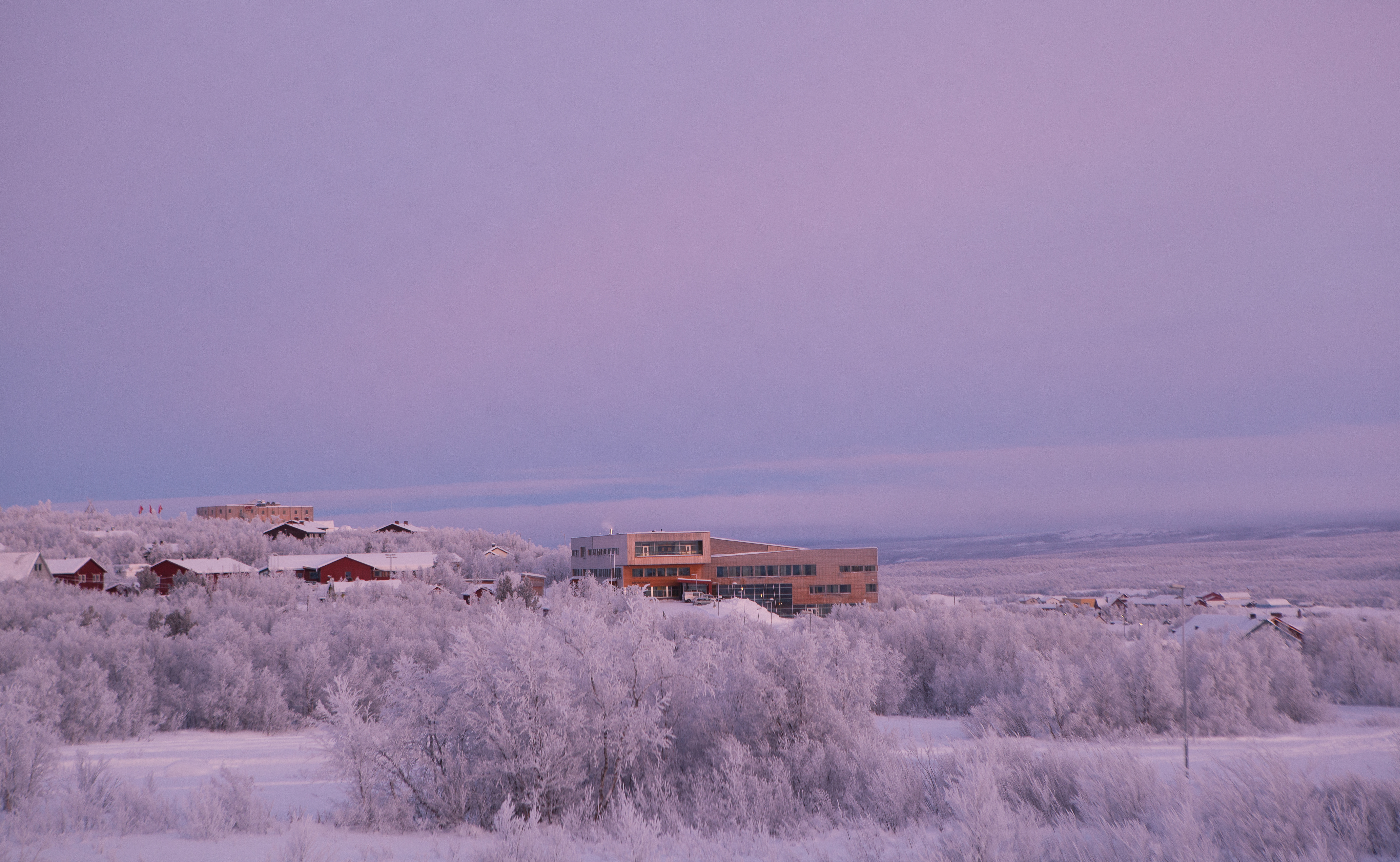 Sámi University of Applied Sciences profile image 11