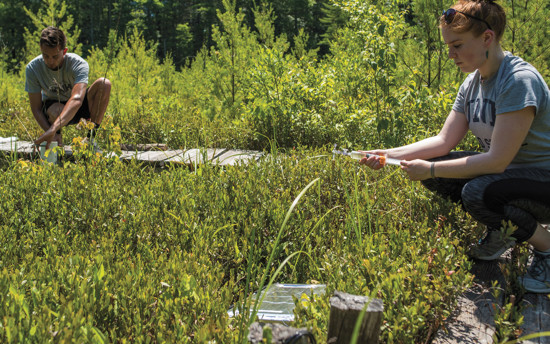 Shared Voices 2020 It Takes A Village