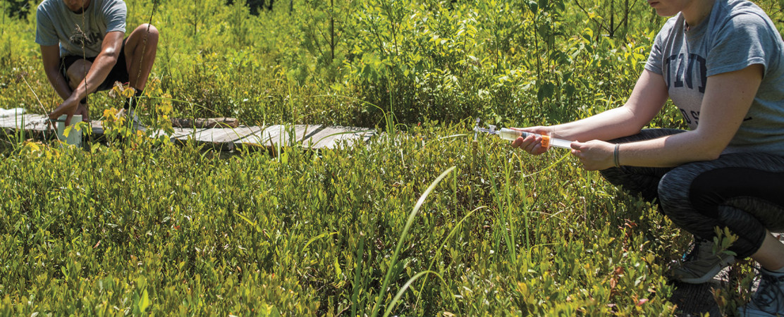 Shared Voices 2020 It Takes A Village