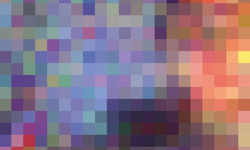 Shared Voices 2020 Learning From The Crisis