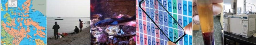 Mcgill Student Ad 2021 Northern Page 0001