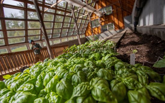 Alaska Pacific University 8