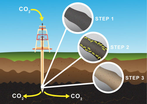 Figure 3 - CCS biofilm technology using existing well infrastructure to inject CO2 into the deep subsurface