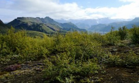 Agricultural University Of Iceland