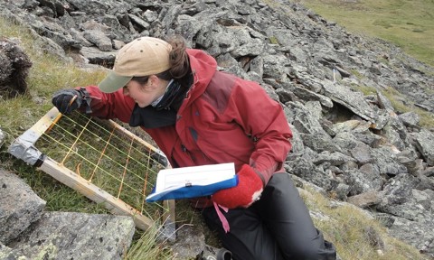 TN Herbivory News April