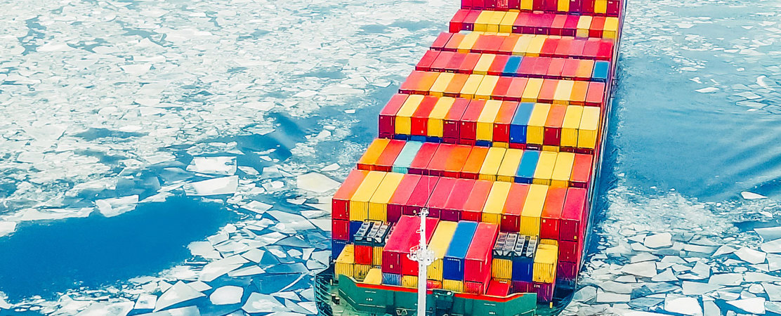 Shared Voices 2021 Collecting Knowledge From Finnmark’S Plateau To Japan