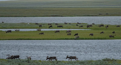  PHOTO: Jeff Kerby / National Geographic