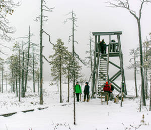 2025 SV Impact Of International Cooperation