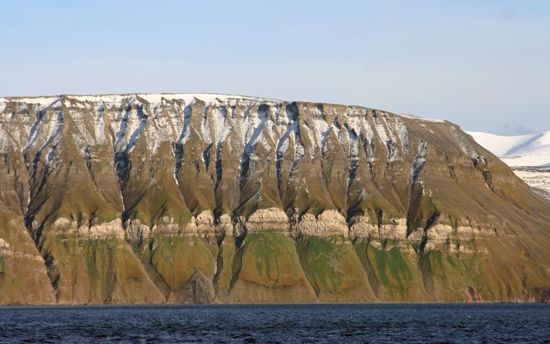 Bird_mountain_Grumant_photo_E.T.Jenssen_IMG_4242