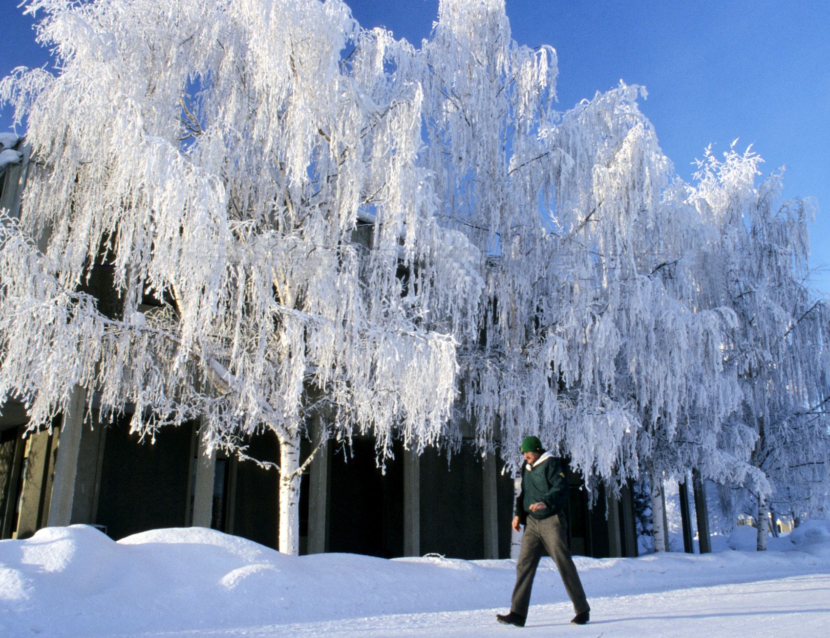 University of Alaska Anchorage campus in winter