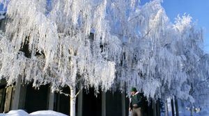University of Alaska Anchorage campus in winter