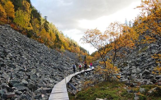 University of Lapland profile 4