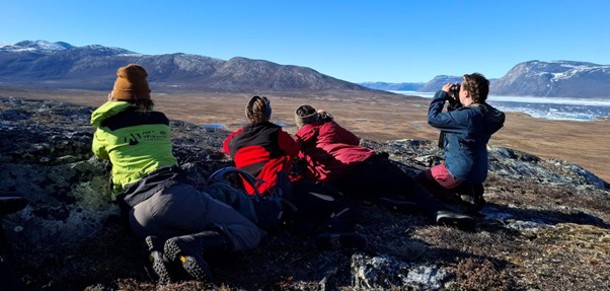TExNet team looking for herbivores near Kapisillit