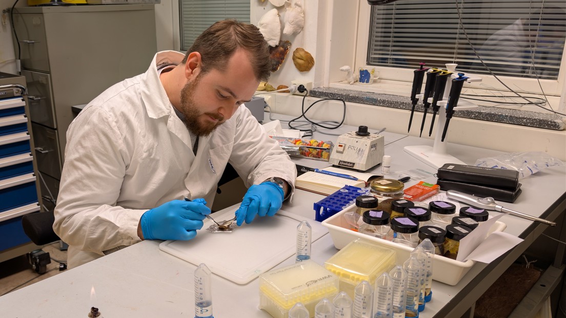 Filip Wester's Shell Filip advances Arctic biodiversity research through Nordic collaboration