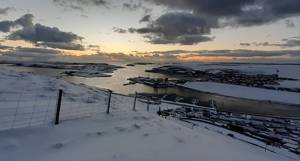 Northern and Arctic Island Studies Research