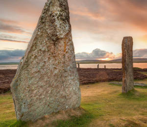 2025 SV The Role Of Language In Place Attentivness