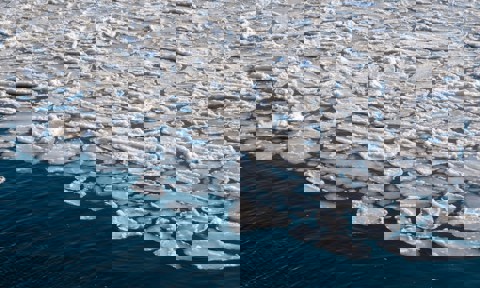 Gunnar Ridderström On Unsplash