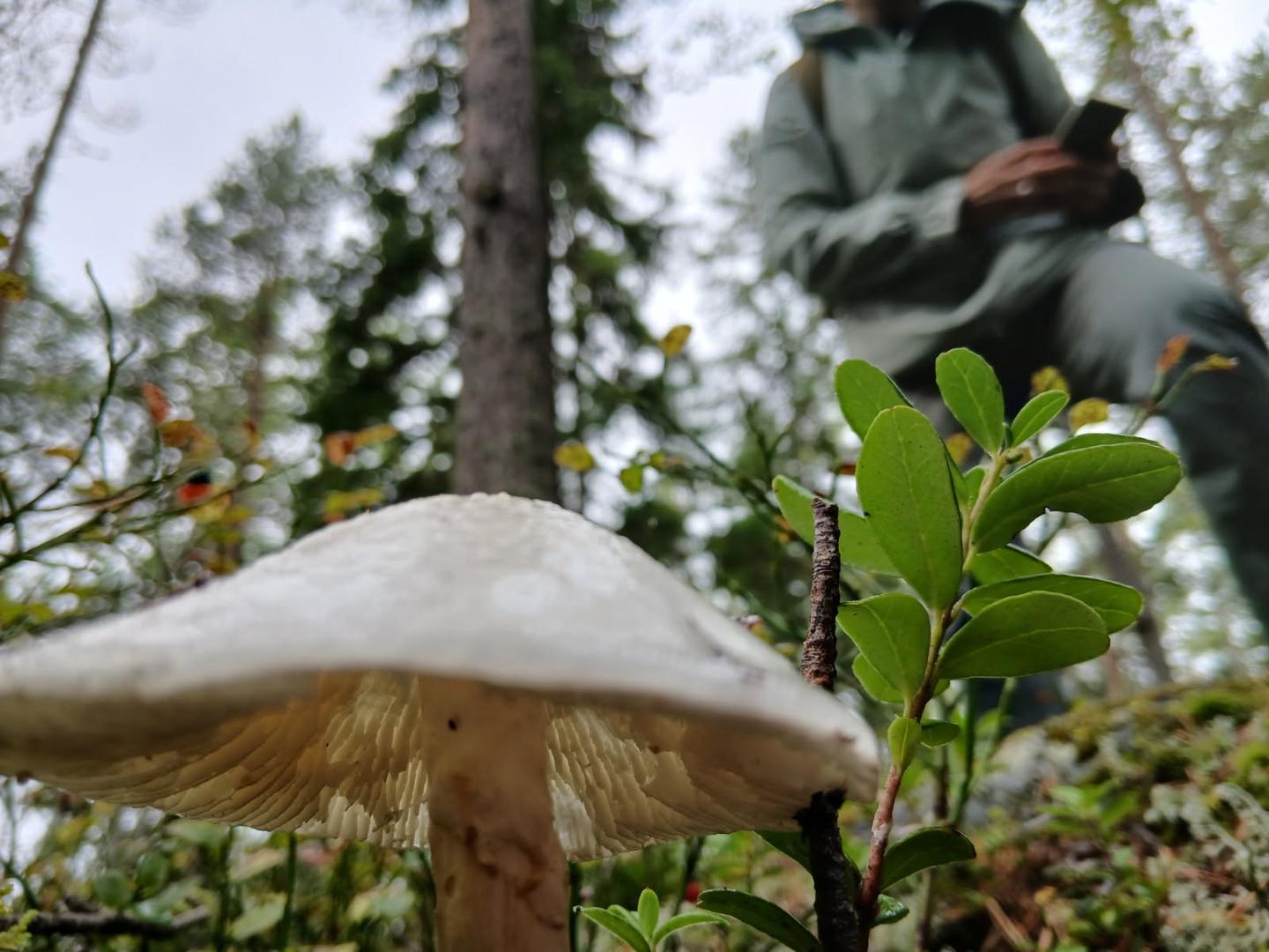 Crafting Connections 1 Lundstedt Rylander