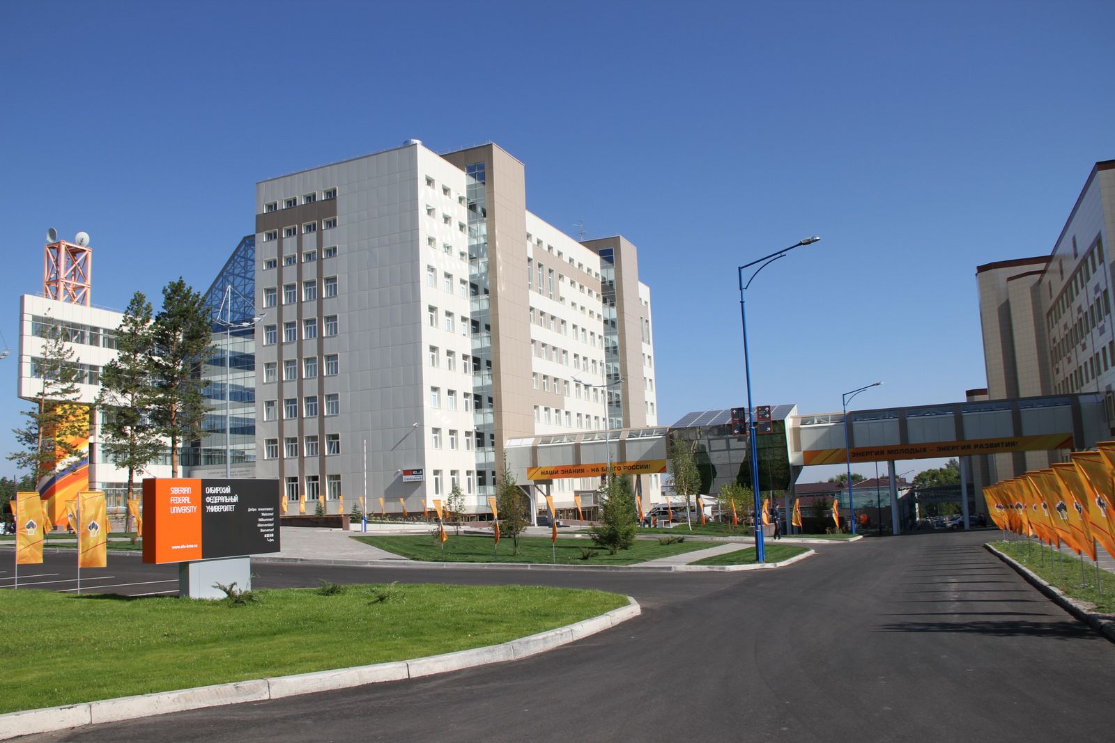 Siberian Federal University profile picture