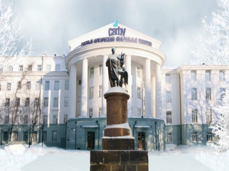 NArFU in Winter (crop)